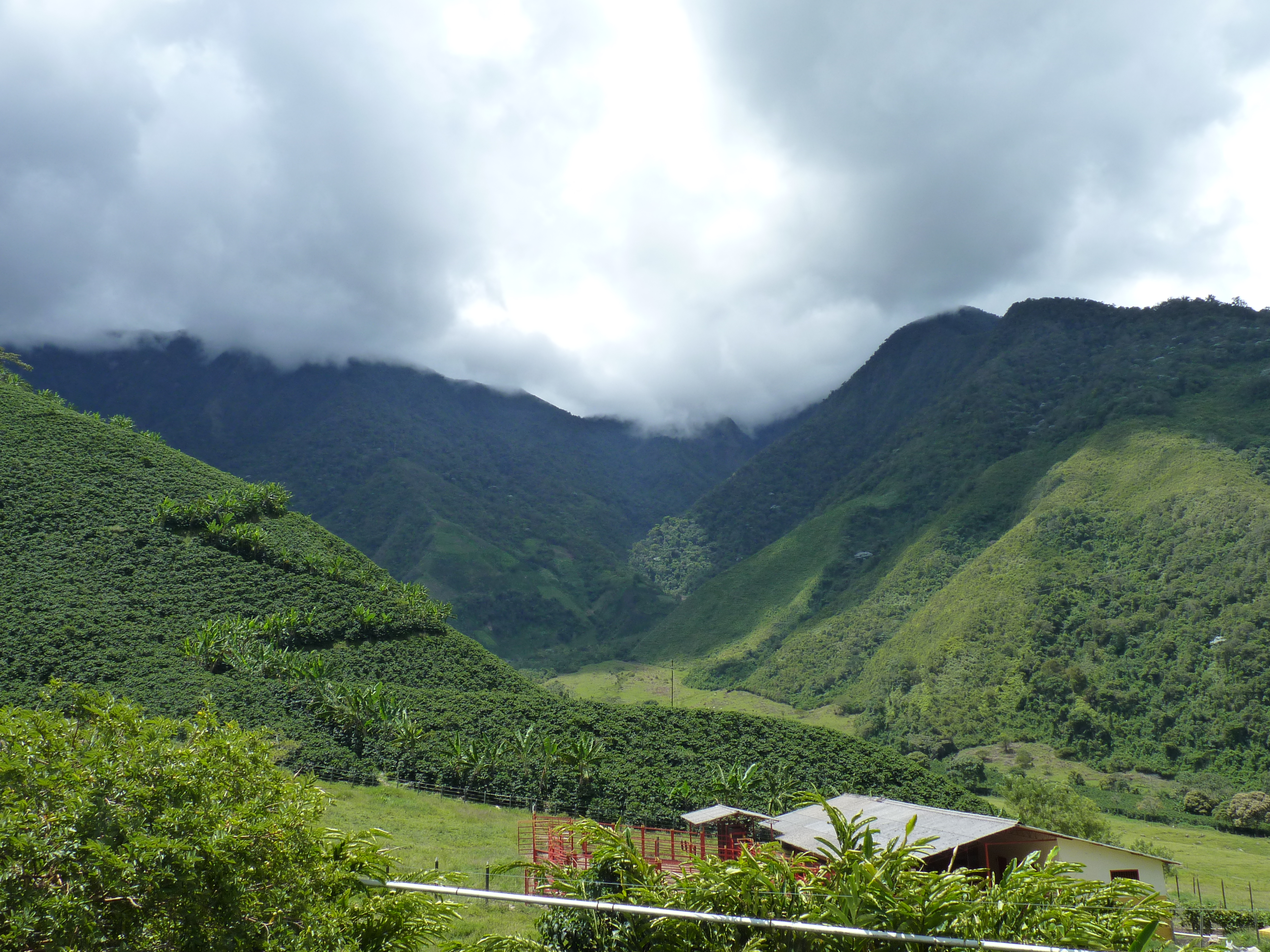 colombia